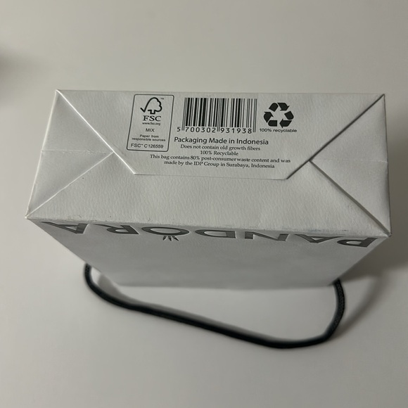 New Pandora silver charm bracelet with gift Bag & charm box - Picture 11 of 12